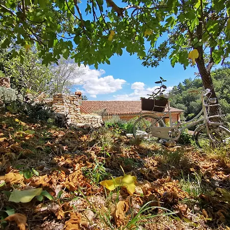 Tuluschene