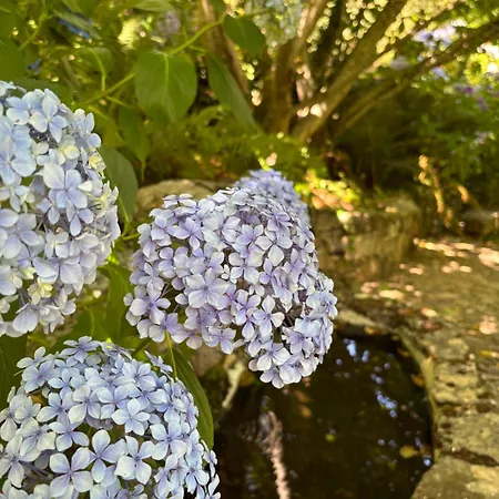 Tuluschene Lantgård Gavoi