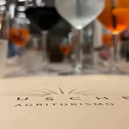 Lantgård Tuluschene