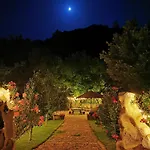 Tuluschene *