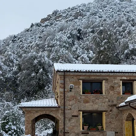 Tuluschene